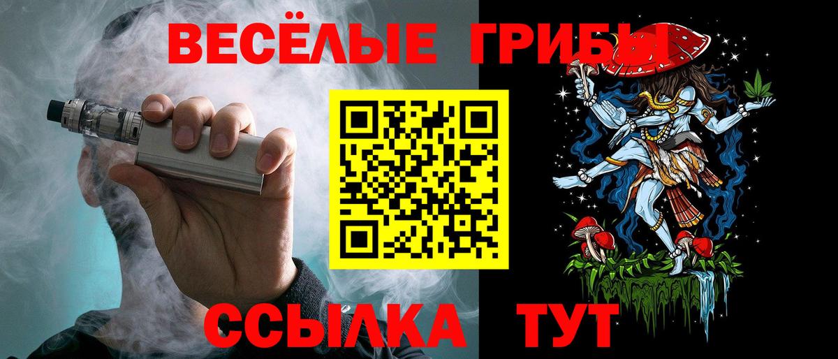 закладка  Псилоцибиновые грибы Cubensis  Галлюциногенные грибы GOLDEN TEACHER  Вход с VPN  Черкесск 